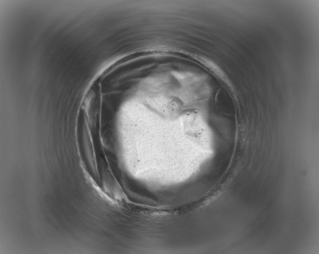 X0000082200839200702021842