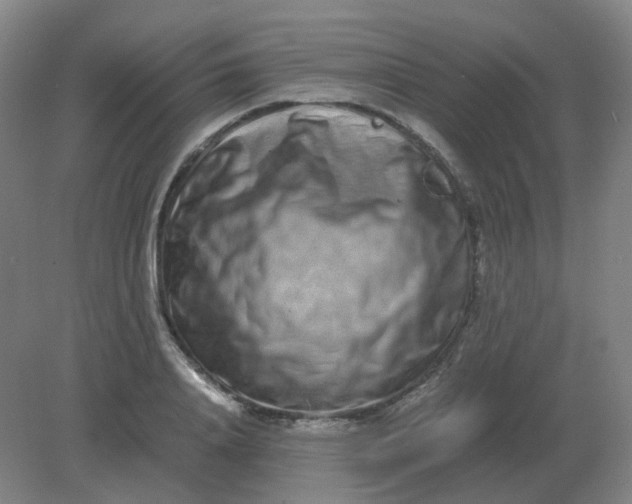 X0000082200840200702021842