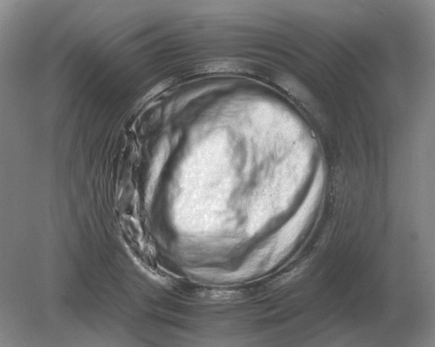 X0000082200841200702021842