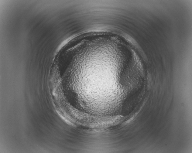 X0000082200842200702021842