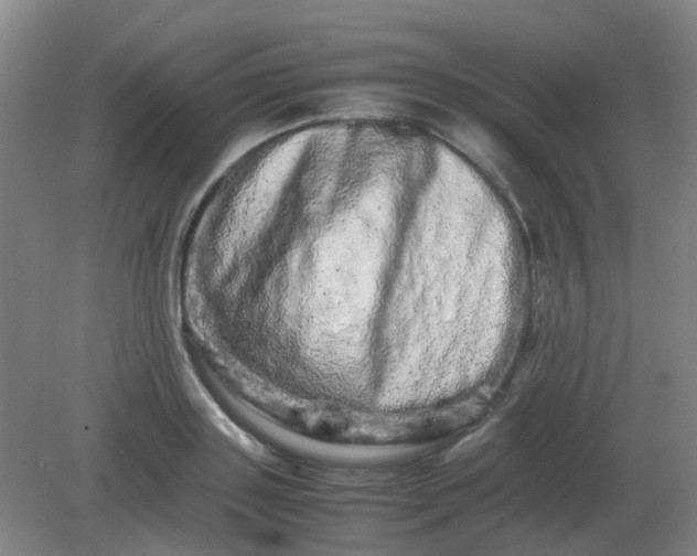 X0000082200843200702021842