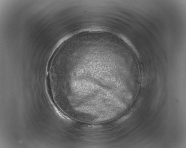 X0000082200845200702021842