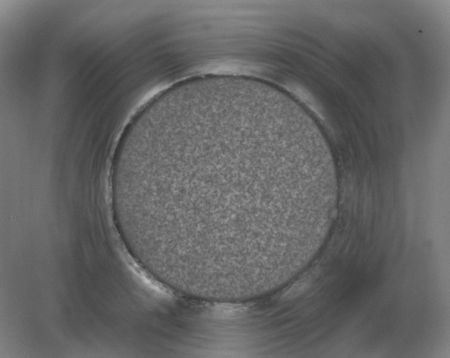 X0000082200848200702021842