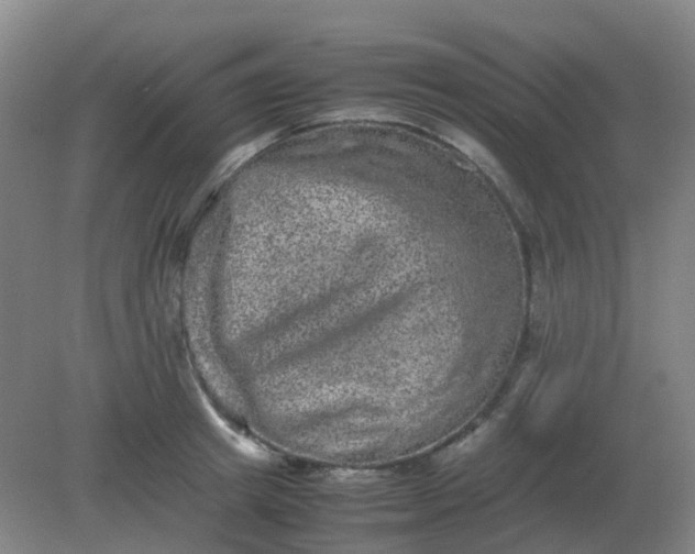 X0000082200849200702021842