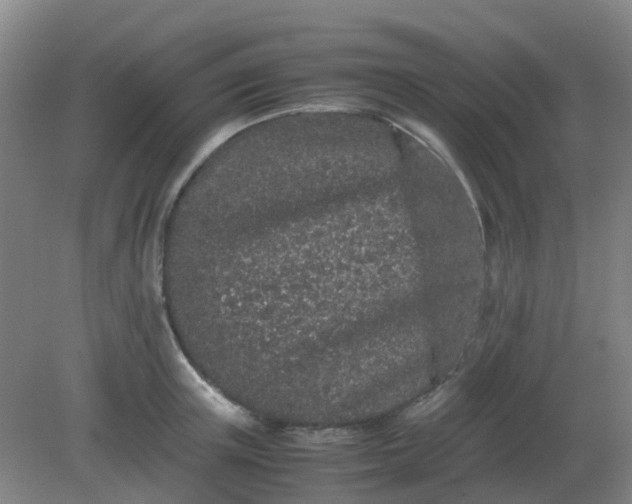 X0000082200851200702021842