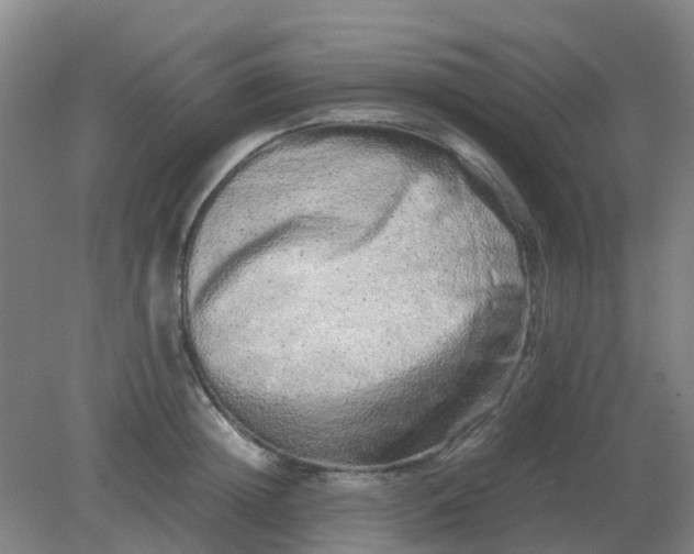 X0000082200852200702021842