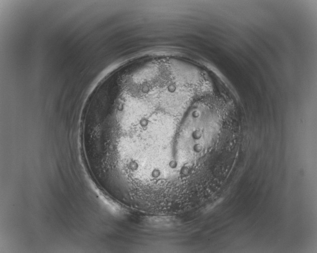 X0000082200853200702021842