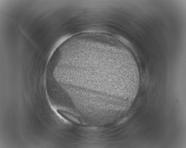 X0000082200855200702021842