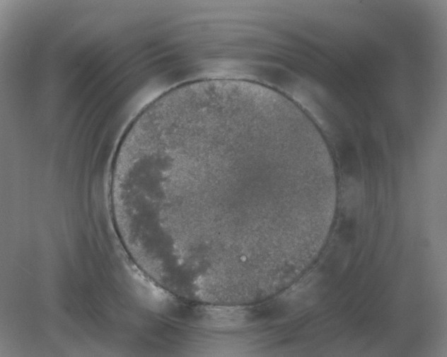 X0000082200856200702021842