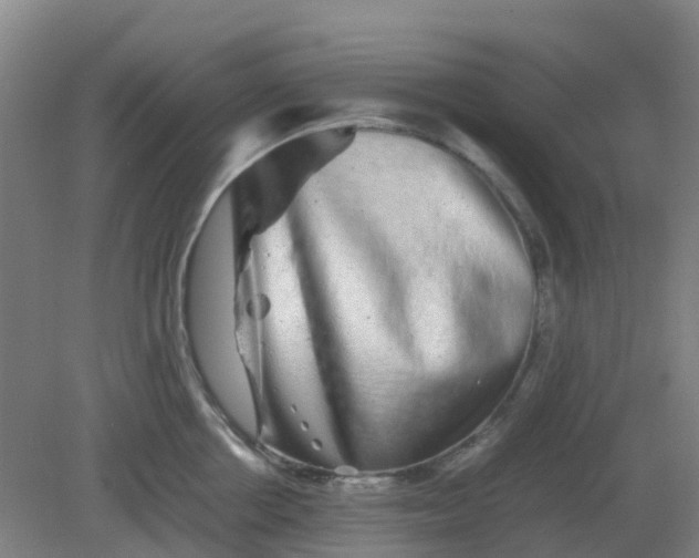 X0000082200858200702021842