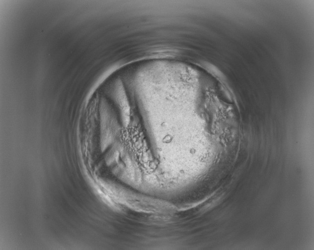 X0000082200859200702021842