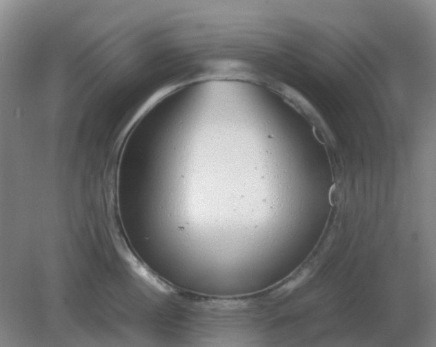 X0000082200860200702021842