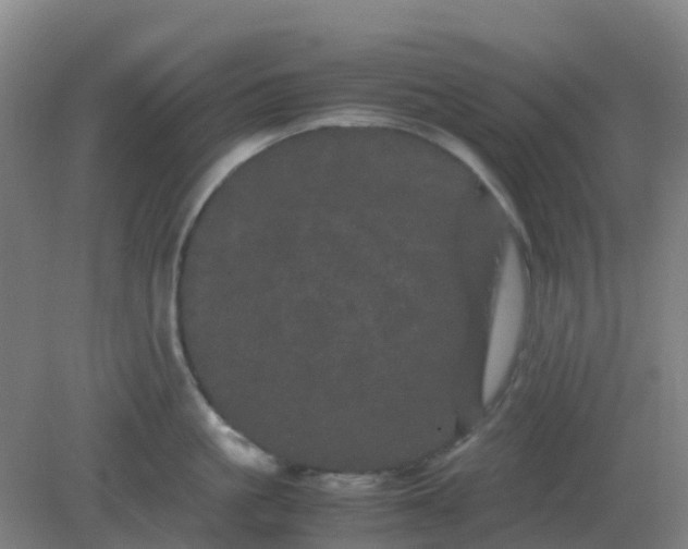 X0000082200861200702021842