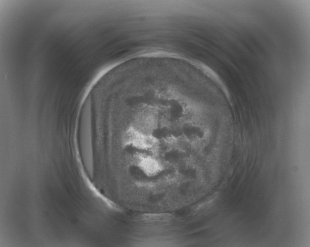 X0000082200863200702021842