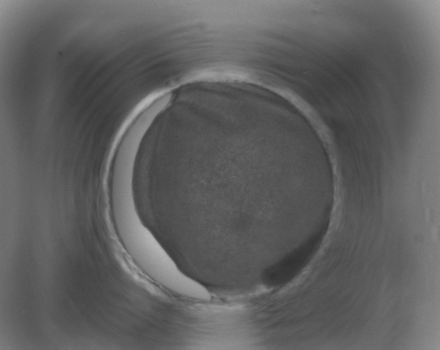 X0000082200864200702021842