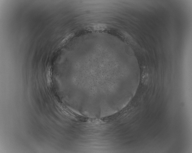 X0000082200866200702021842