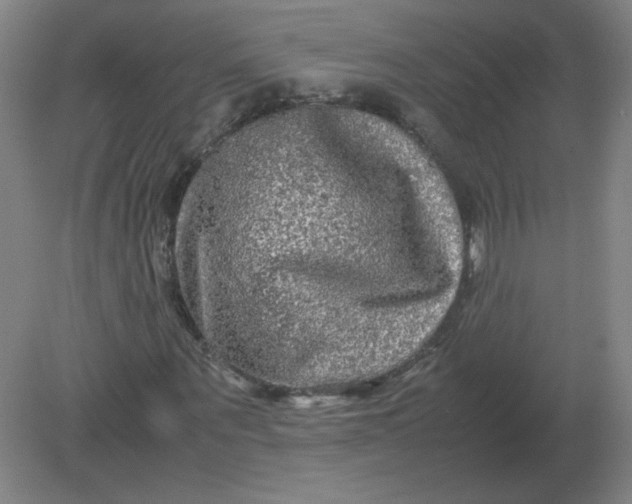 X0000082200867200702021841