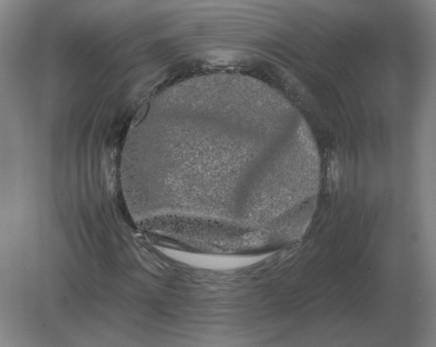 X0000082200868200702021841