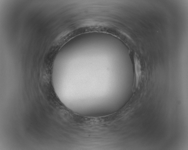 X0000082200869200702021841