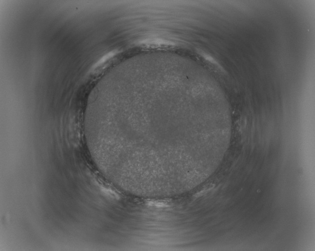 X0000082200870200702021841