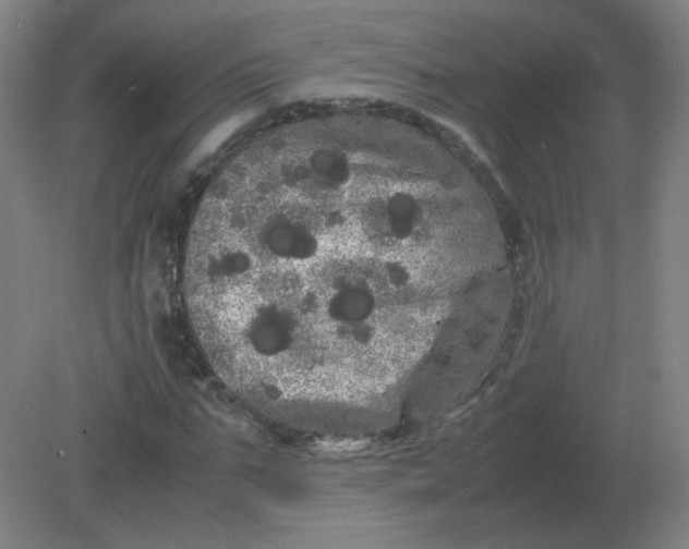 X0000082200871200702021841