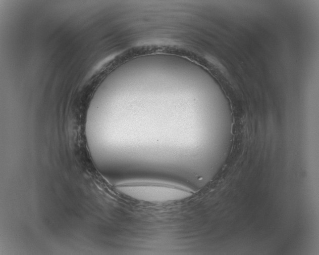 X0000082200872200702021841