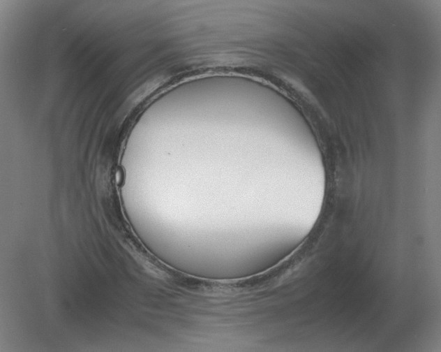 X0000082200873200702021841