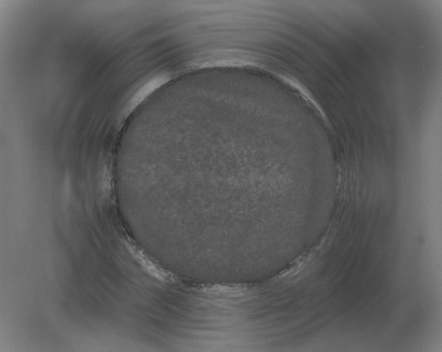 X0000082200874200702021841