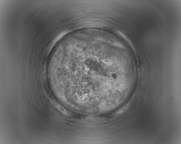 X0000082200875200702021841