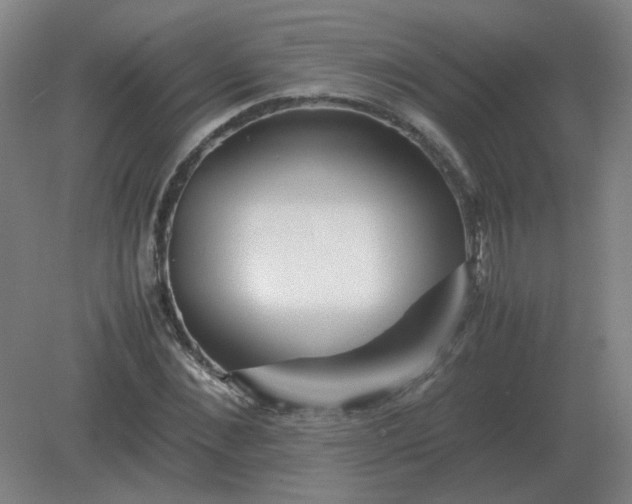 X0000082200876200702021841