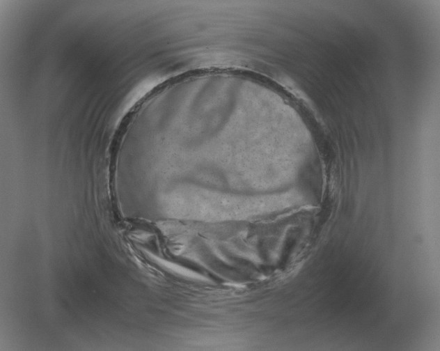 X0000082200877200702021841