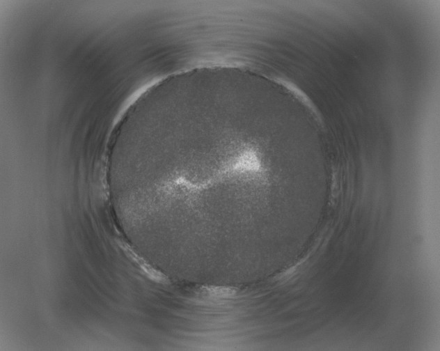 X0000082200878200702021841