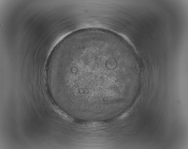 X0000082200879200702021841