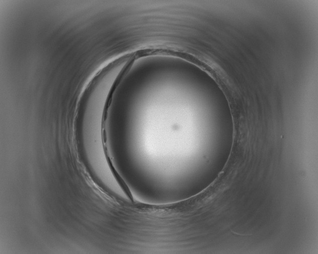 X0000082200880200702021841