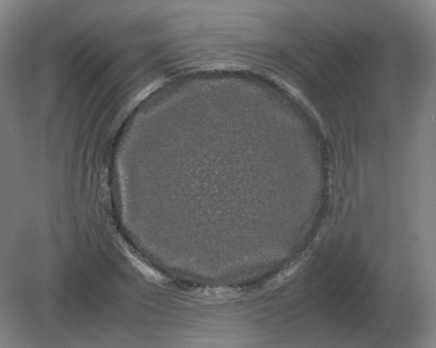 X0000082200881200702021841