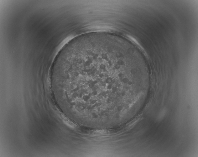 X0000082200883200702021841