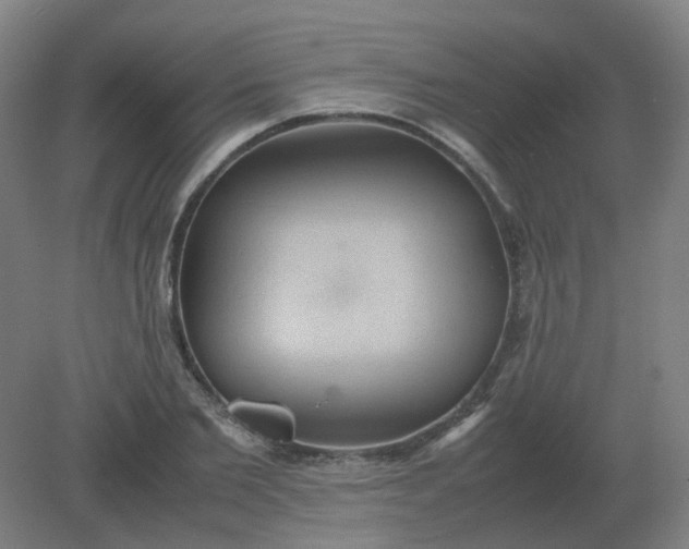 X0000082200885200702021841