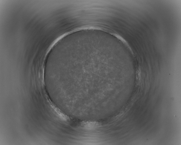 X0000082200886200702021841