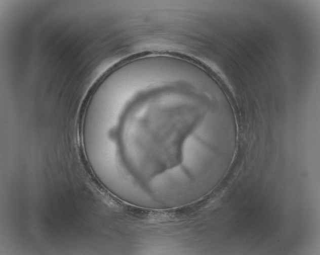 X0000082200887200702021841