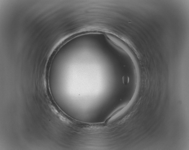 X0000082200888200702021841