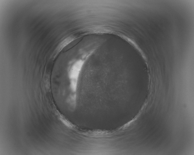 X0000082200889200702021841