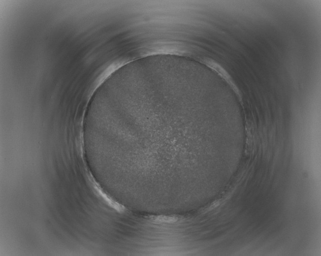 X0000082200890200702021841