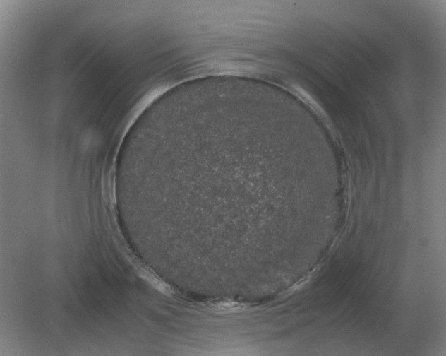 X0000082200891200702021841