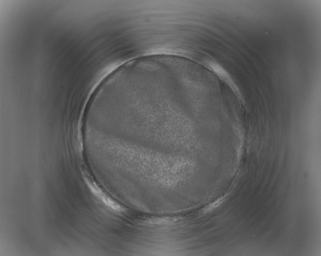 X0000082200892200702021841