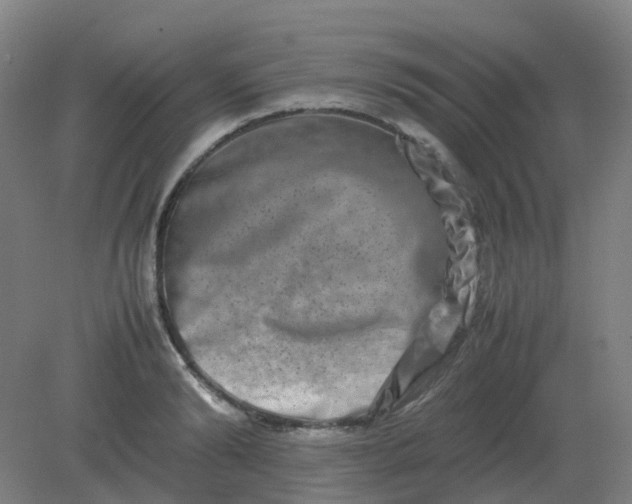 X0000082200894200702021841