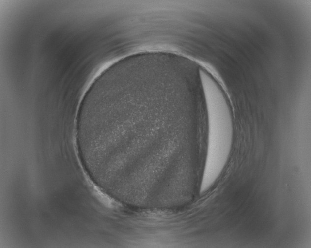 X0000082200895200702021841