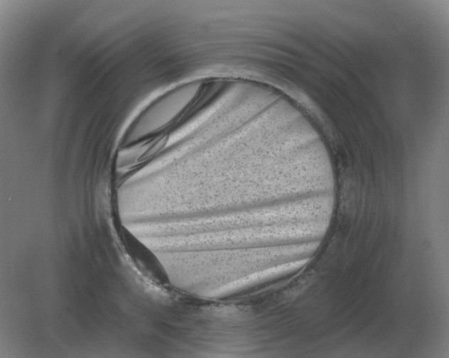 X0000082200896200702021841