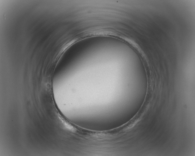 X0000082200897200702021841