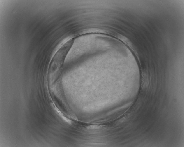 X0000082200898200702021841