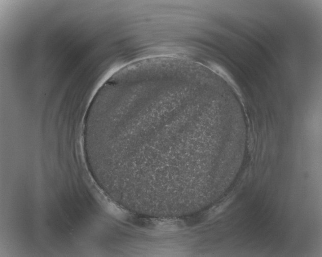 X0000082200899200702021841